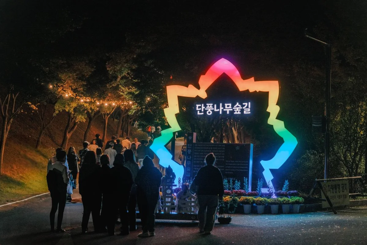 독립기념관 단풍나무숲길 - 독립기념관 여행