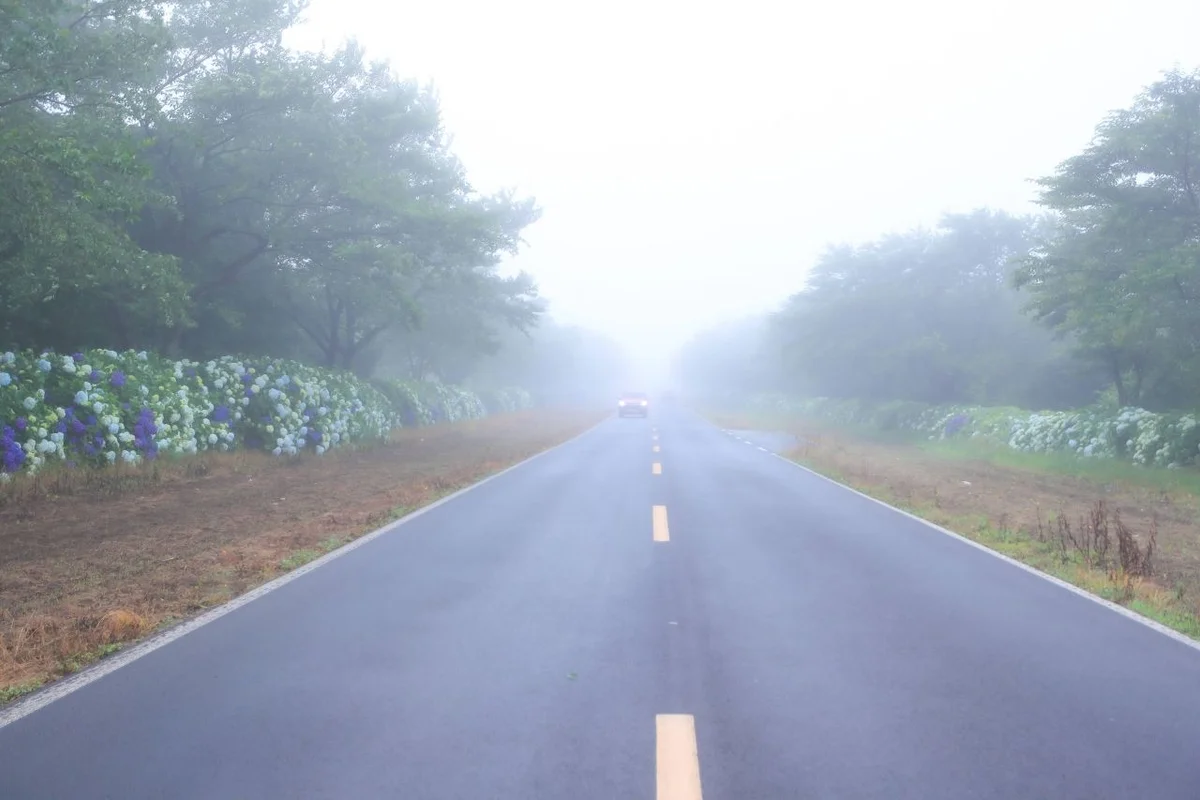 녹산로 - 제주도 여행