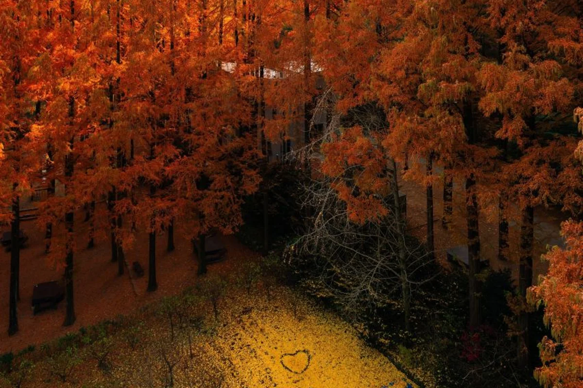 장태산자연휴양림 - 대전 여행