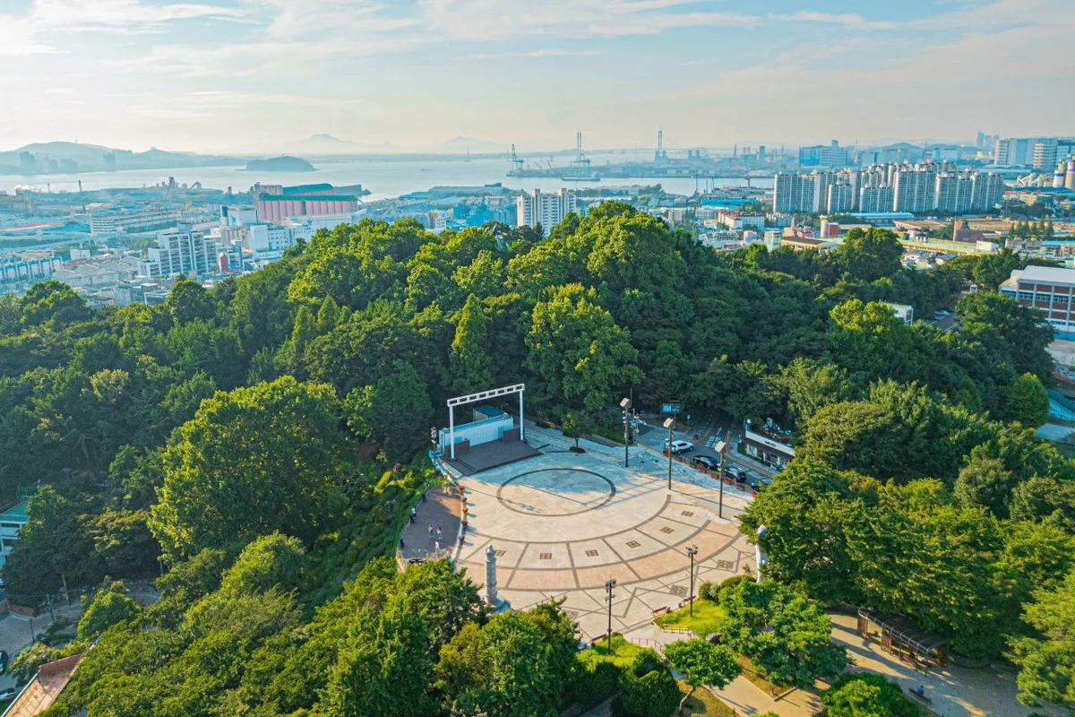 신포동 수목원: 자유공원 - 신포동여행 여행