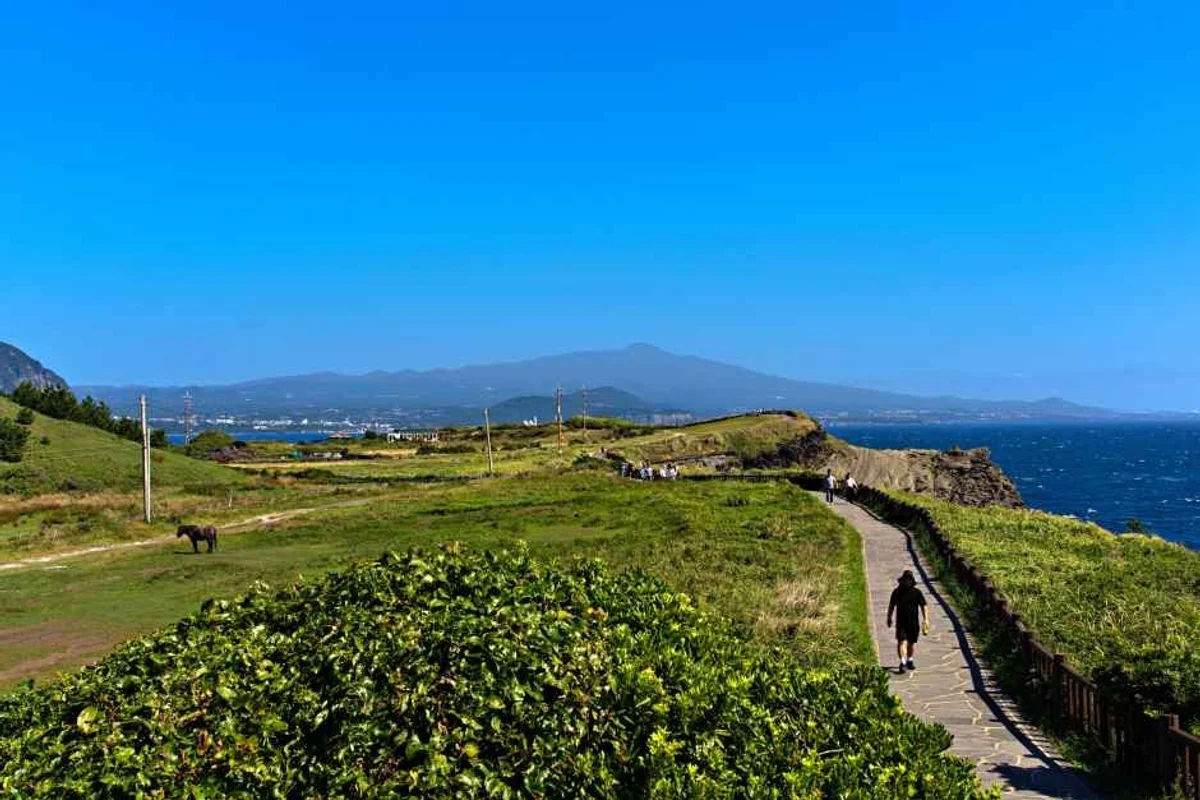 한라산 호텔 추천 (출처 : 한국관광공사)