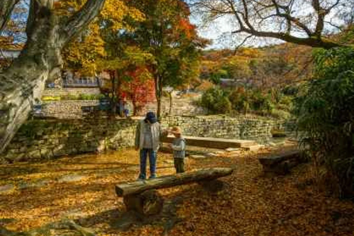 왕산포구 - 서산여행 여행