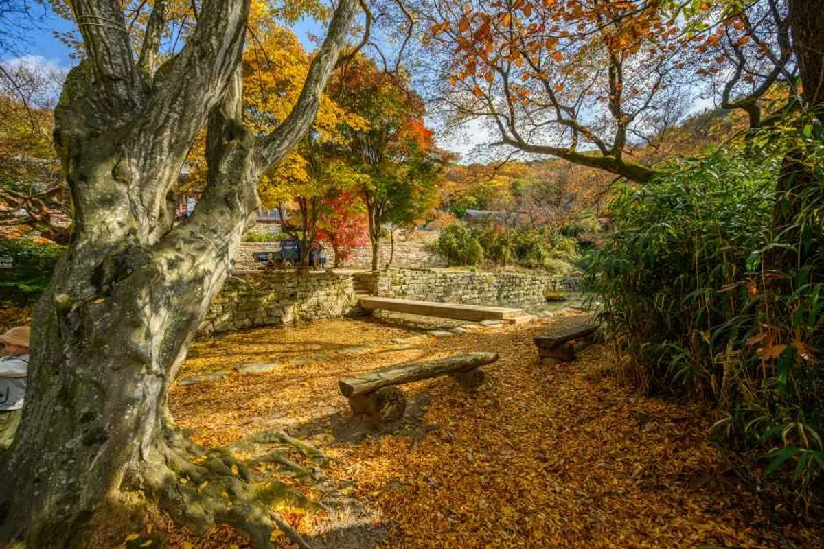 삼길포항 - 서산여행 여행