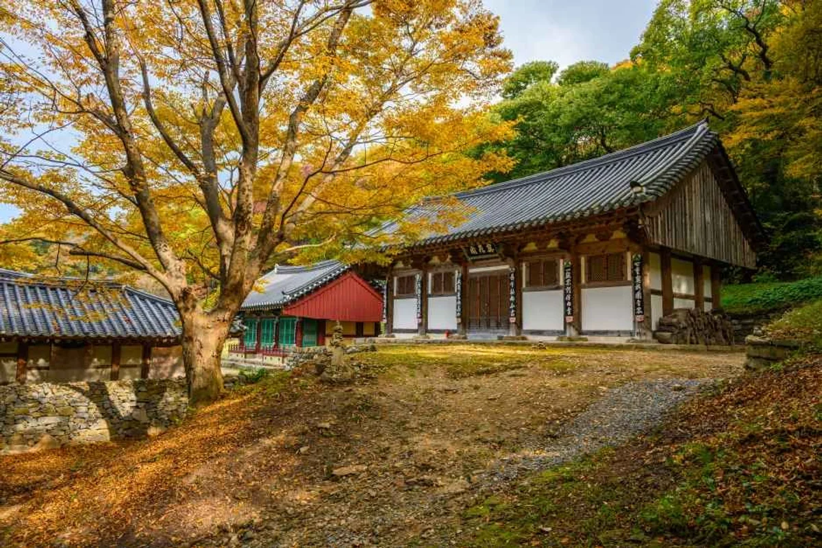 궁리포구 - 서산여행 여행