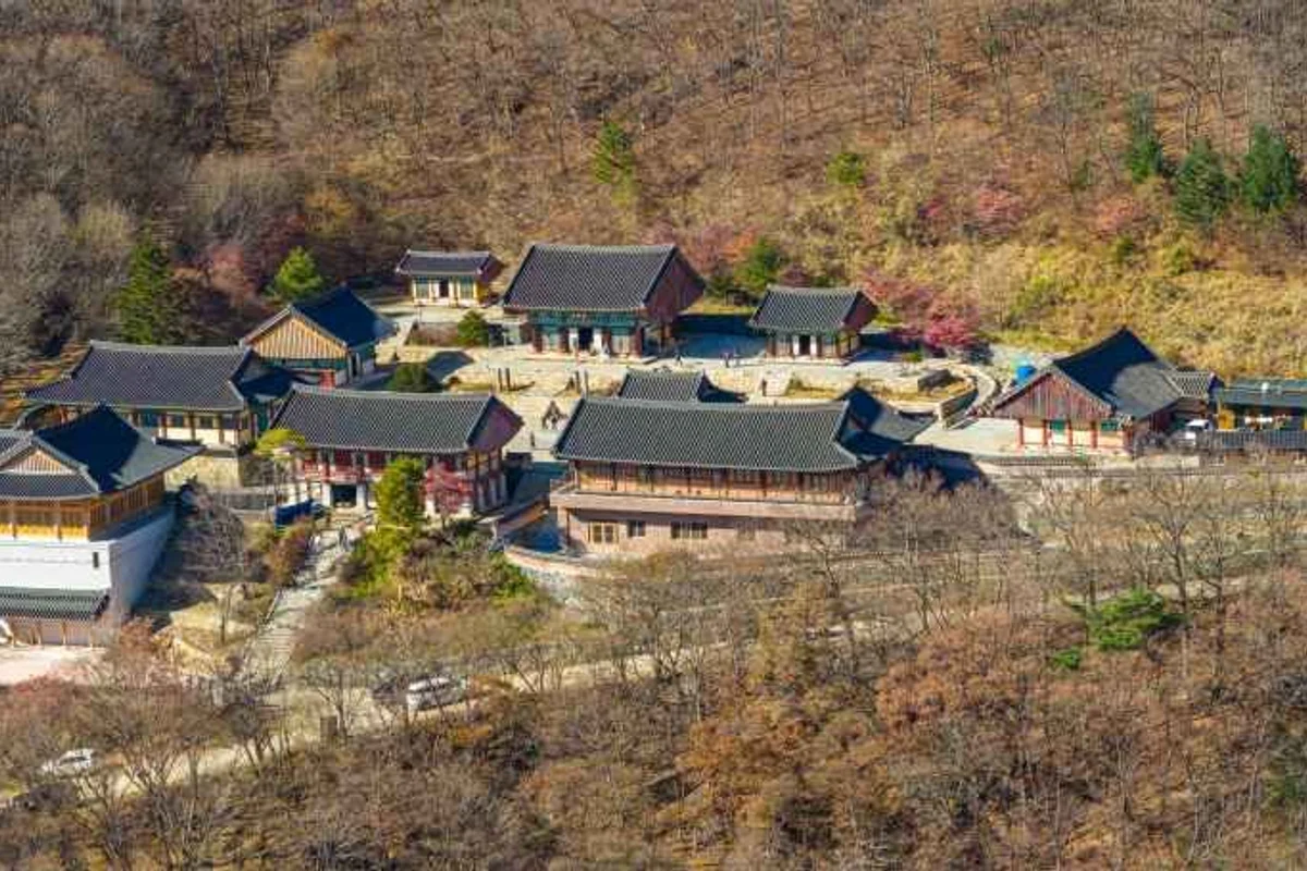 무주반디랜드 - 무주군 벚꽃 여행