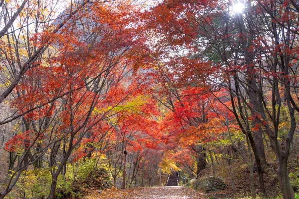 공동체박물관계남정미소 - 마이산 여행