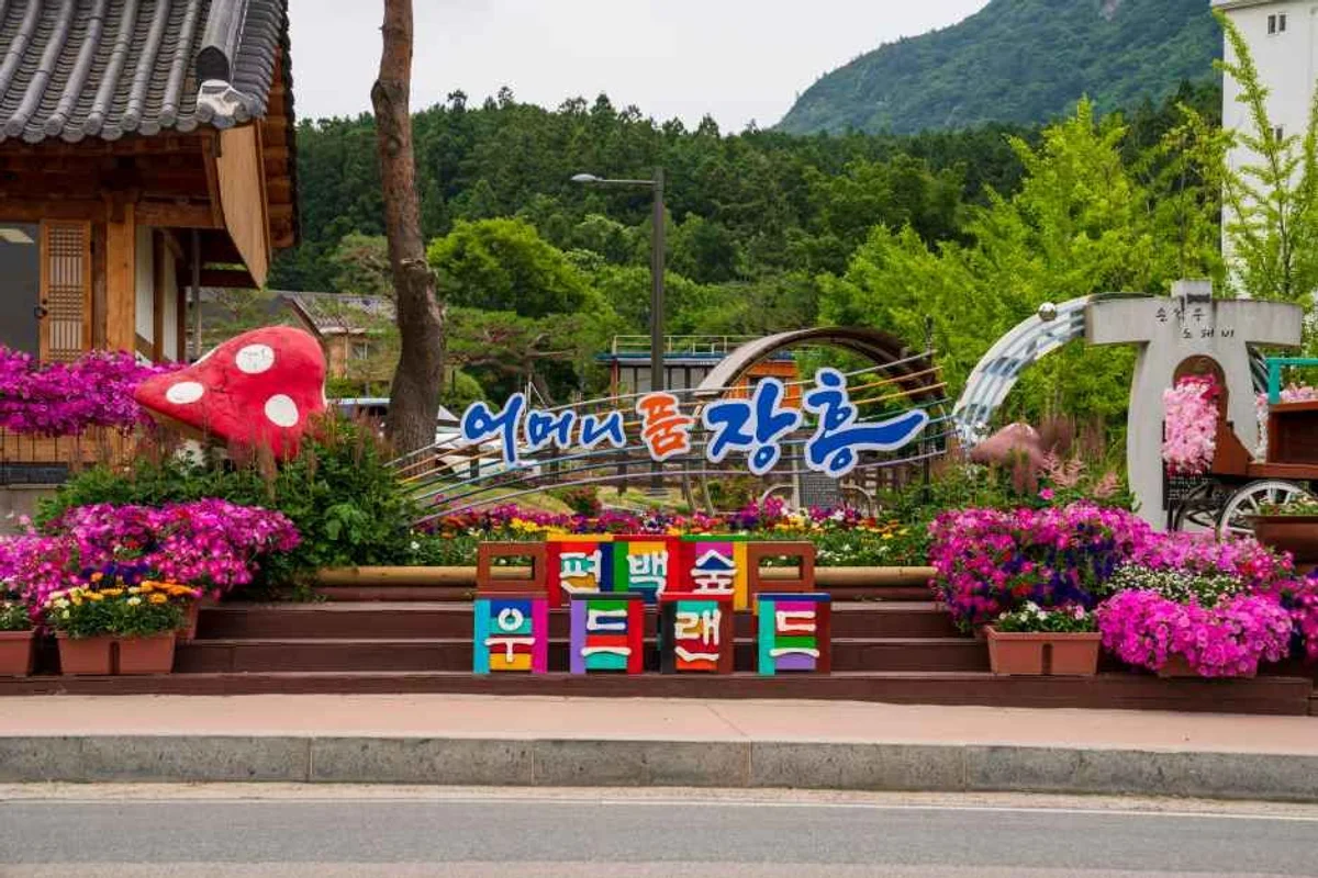 정남진 편백숲 우드랜드 - 장흥 한옥스테이 여행