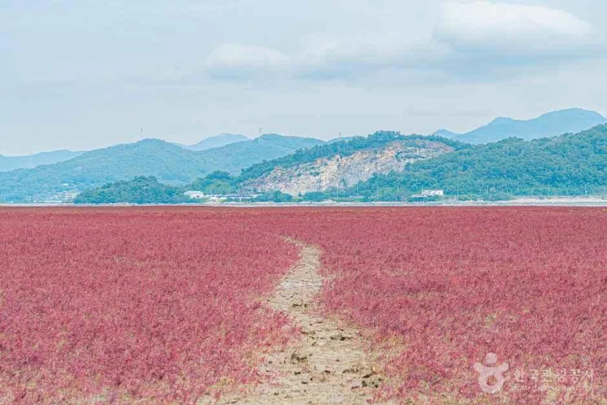 워커힐 호텔 - 인천 공항 숙박 여행