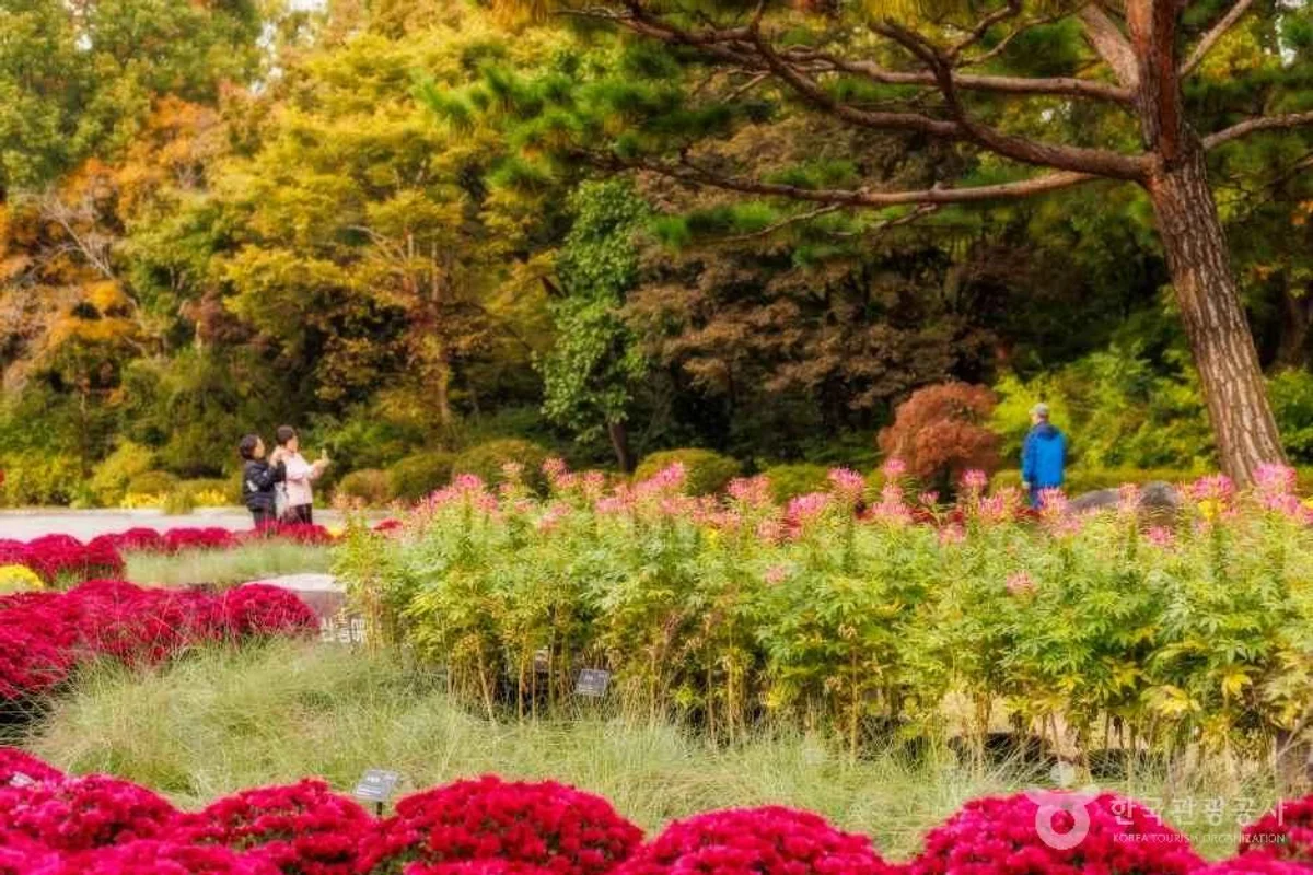 오산시 캠핑의 중심, 맑음터공원 캠핑장 - 오산시 캠핑 여행