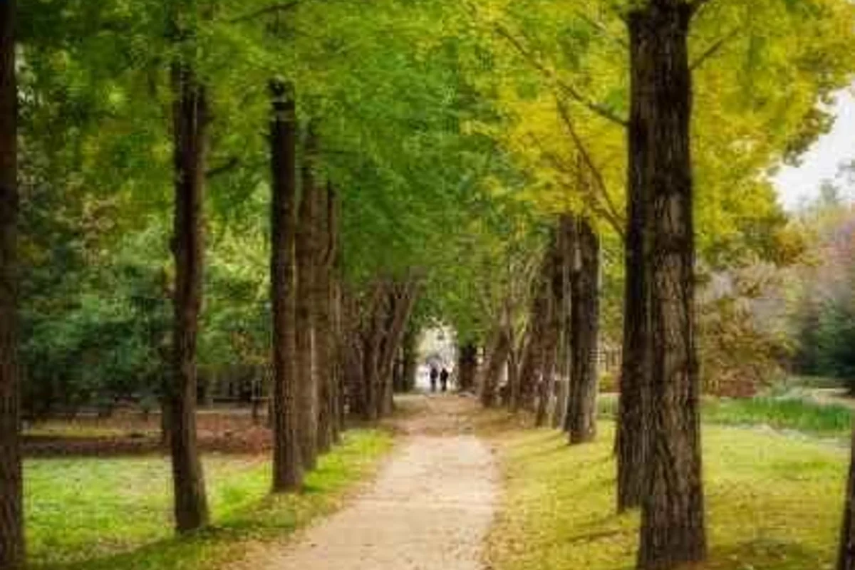 물향기수목원 - 오산시 캠핑 여행
