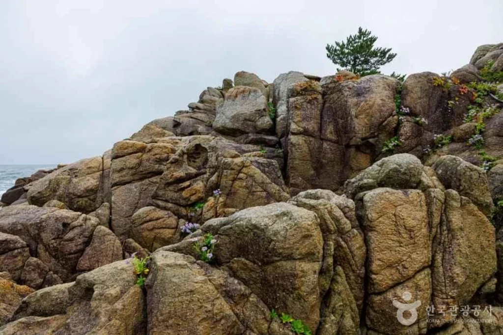 고성 여행 코스 (출처 : 한국관광공사)