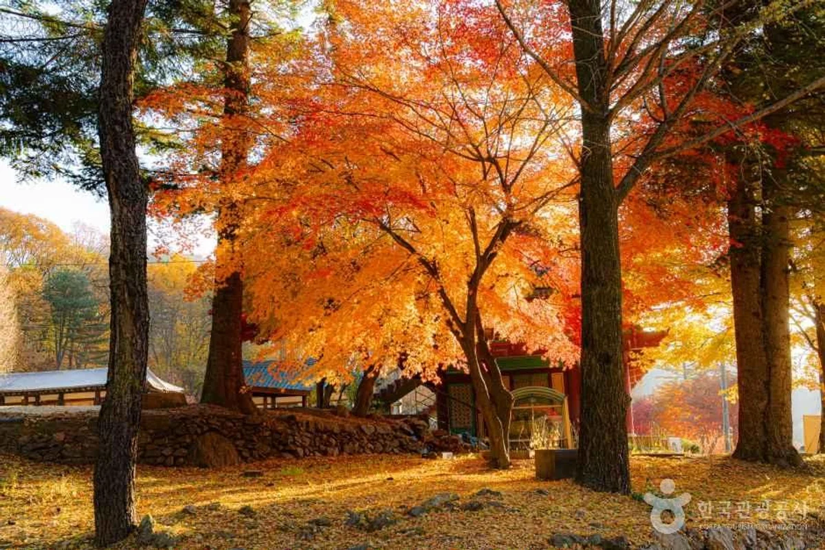 남양주 여행 (출처 : 한국관광공사)