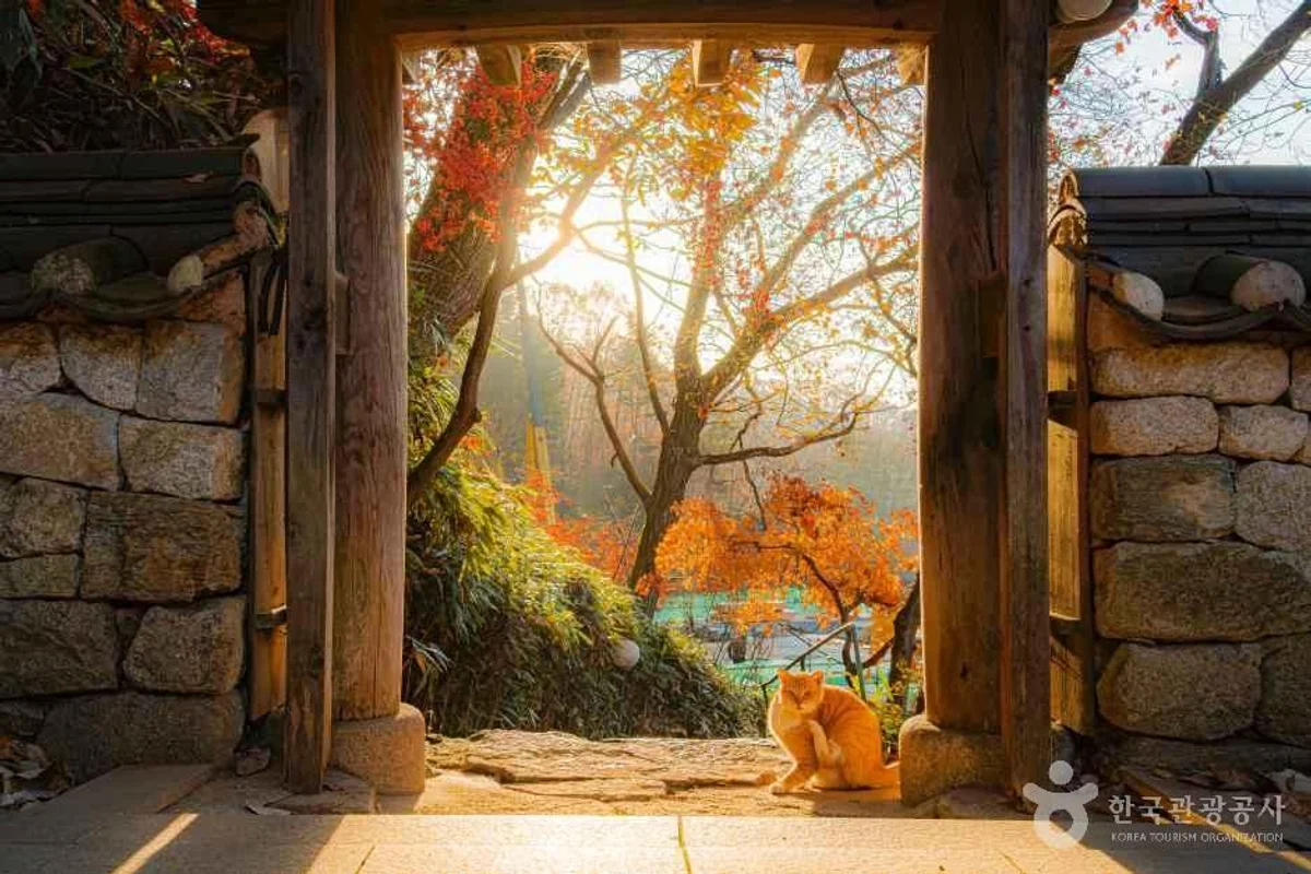 소노캄 고양 - 고양 리조트 여행