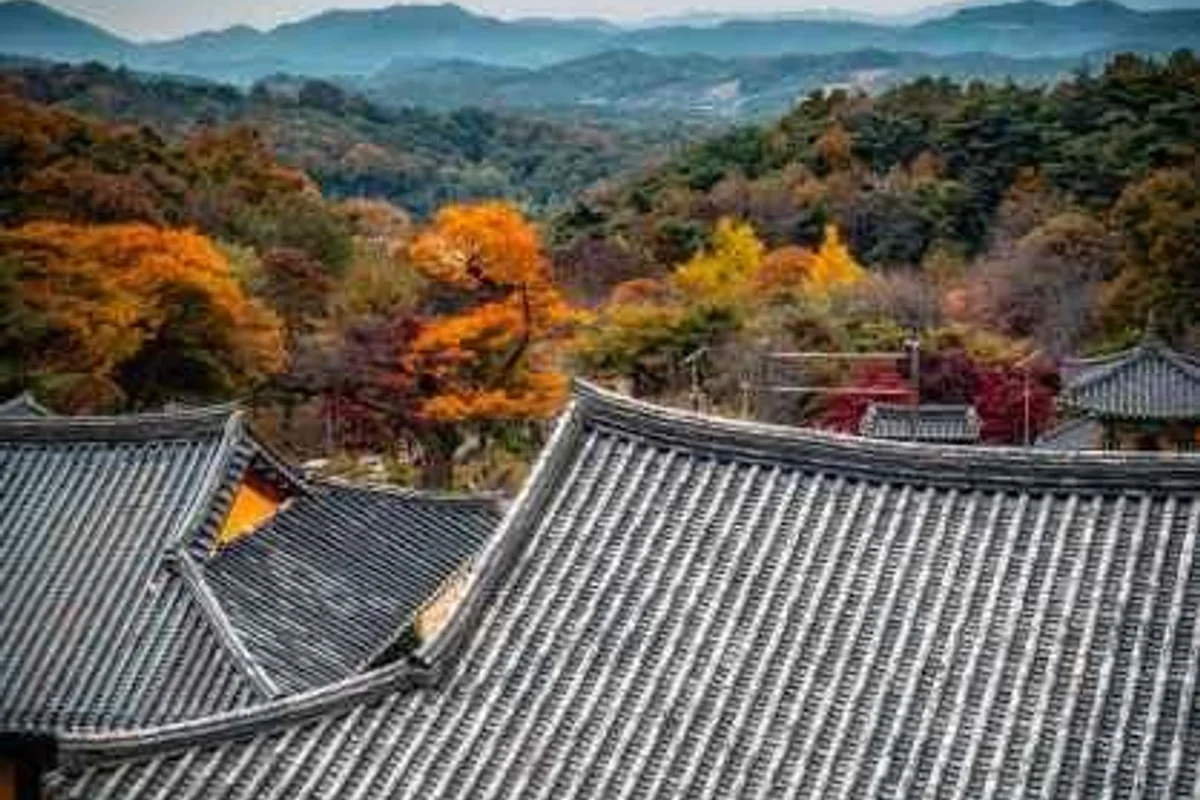 쌍류리 송암사 - 세종여행 여행