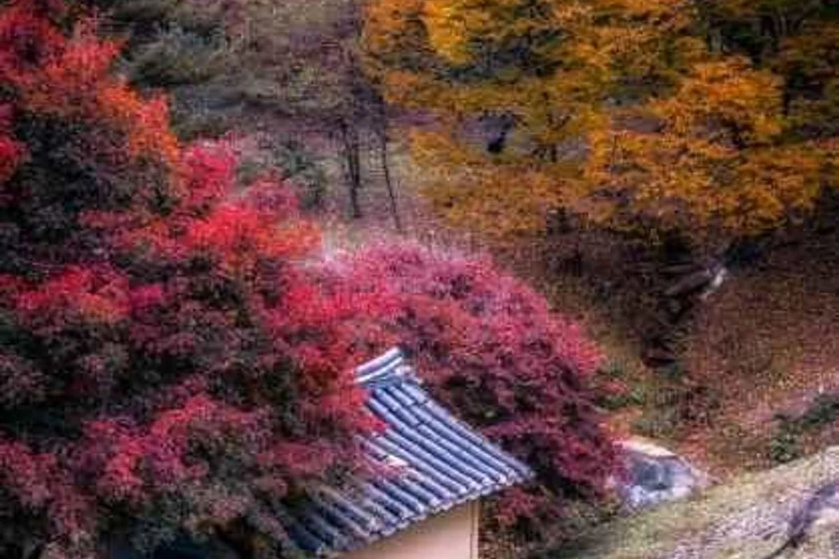 조치원 문화정원 - 세종여행 여행