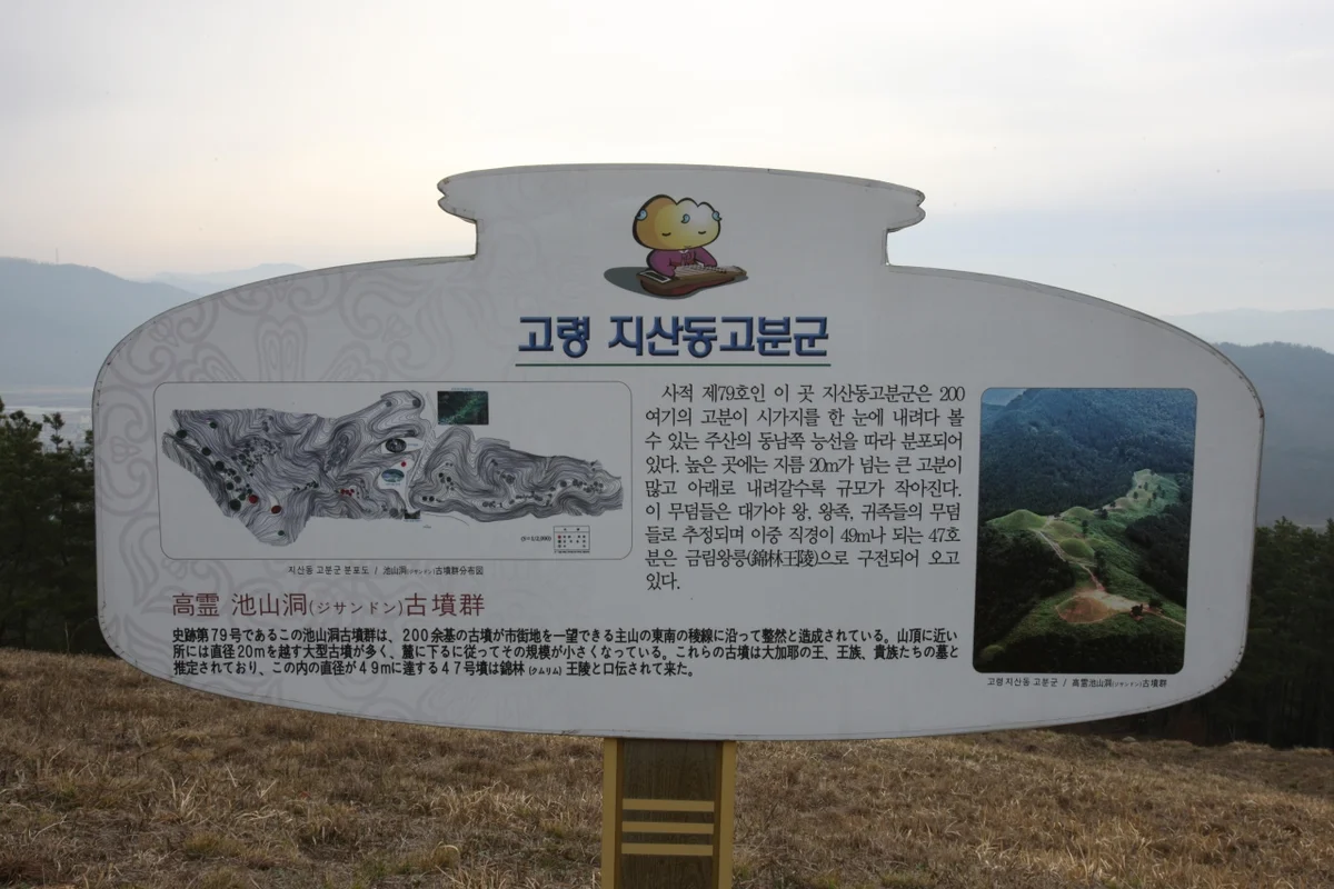 고령 은행나무숲 - 고령여행 여행