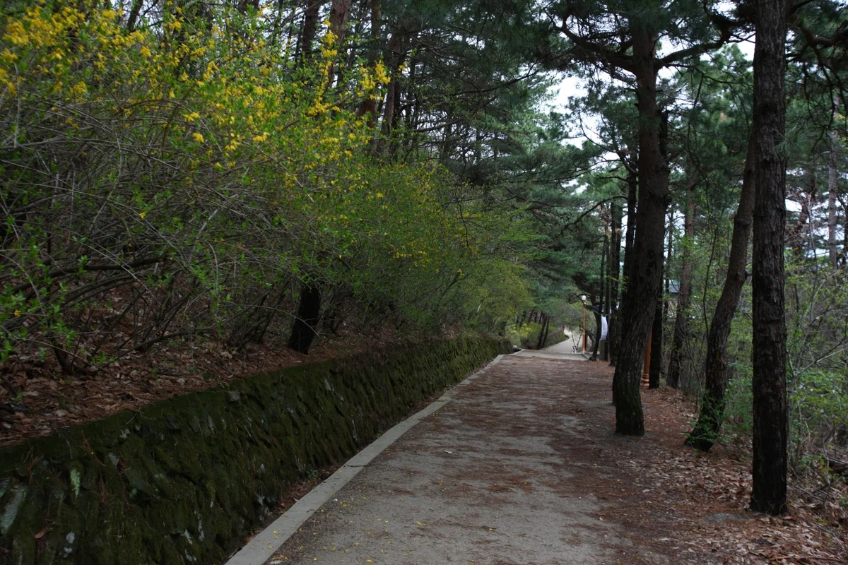 앞산 무료 관광지, 2026년 여름 여행 완벽 가이드 - 대구여행 여행