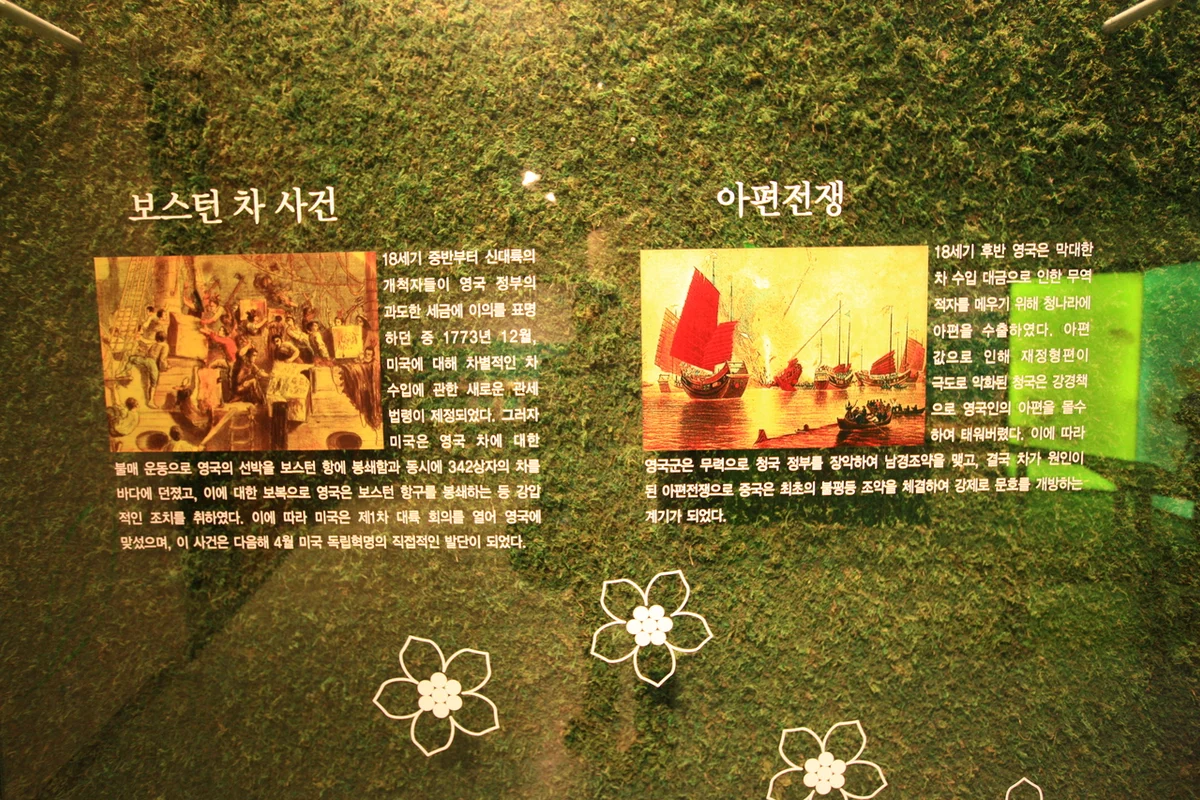 한국차박물관 - 보성녹차밭 여행