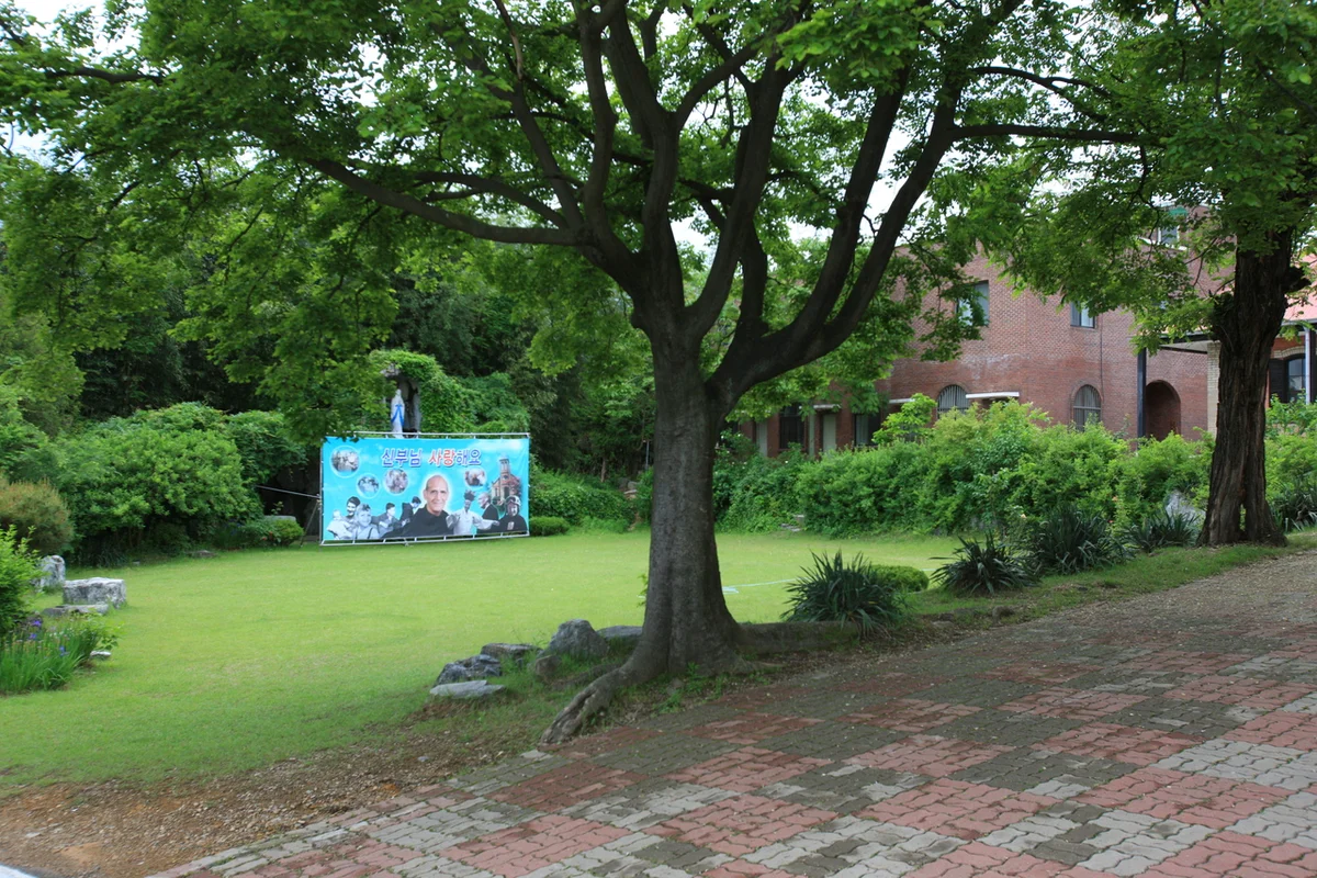 칠곡양떼목장 - 칠곡여행 여행