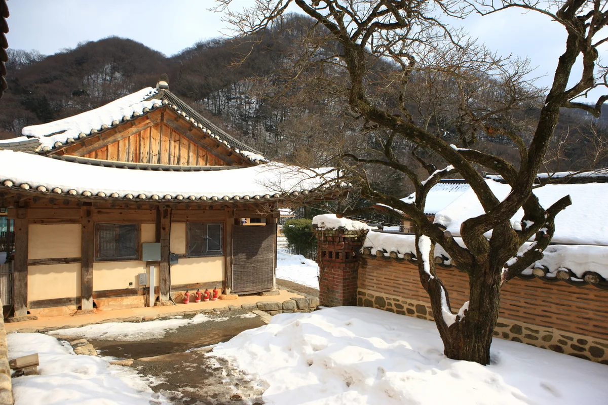백양사 - 장성군 여행