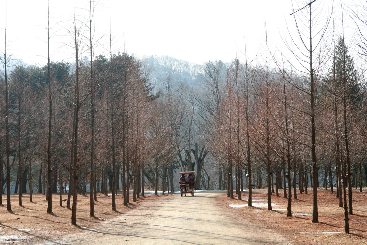 캠프월드레져 - 남이섬 여행