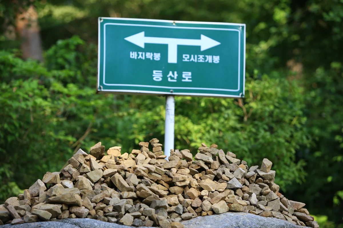 안면도자연휴양림 - 태안 여행 여행