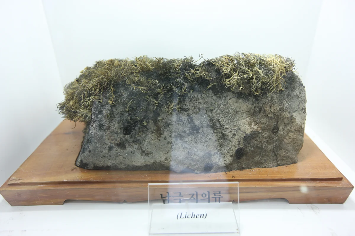 폴리네시안 문화센터 - 송도여행 여행