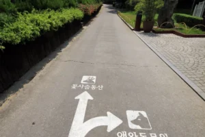 베어트리파크 아이와 실내 놀이 (출처 : 한국관광공사)
