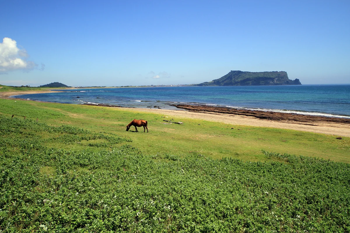 성산일출봉 - 성산 여행