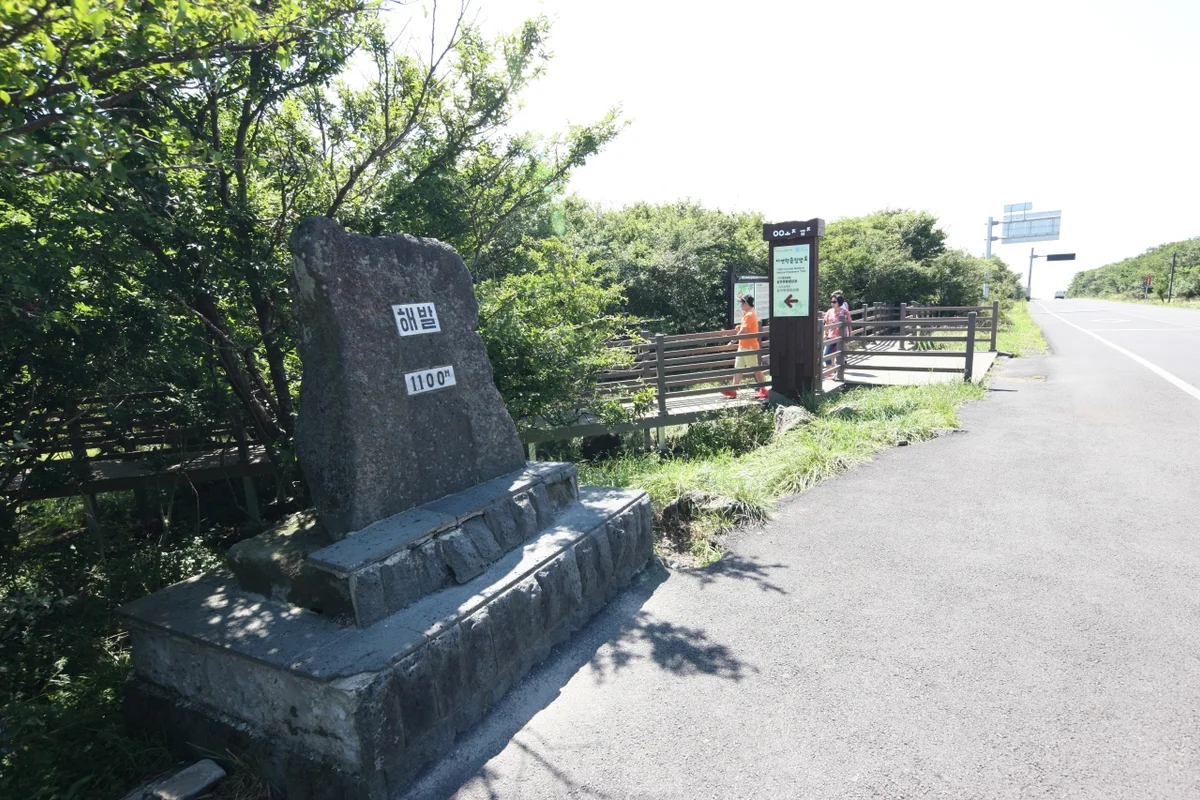 한라산 드라이브의 시작, 1100고지습지 - 제주여행 여행