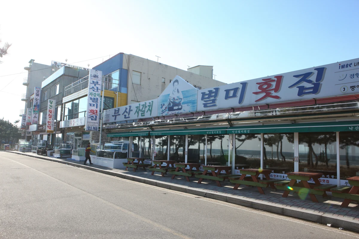 회판장 - 역삼 횟집 여행