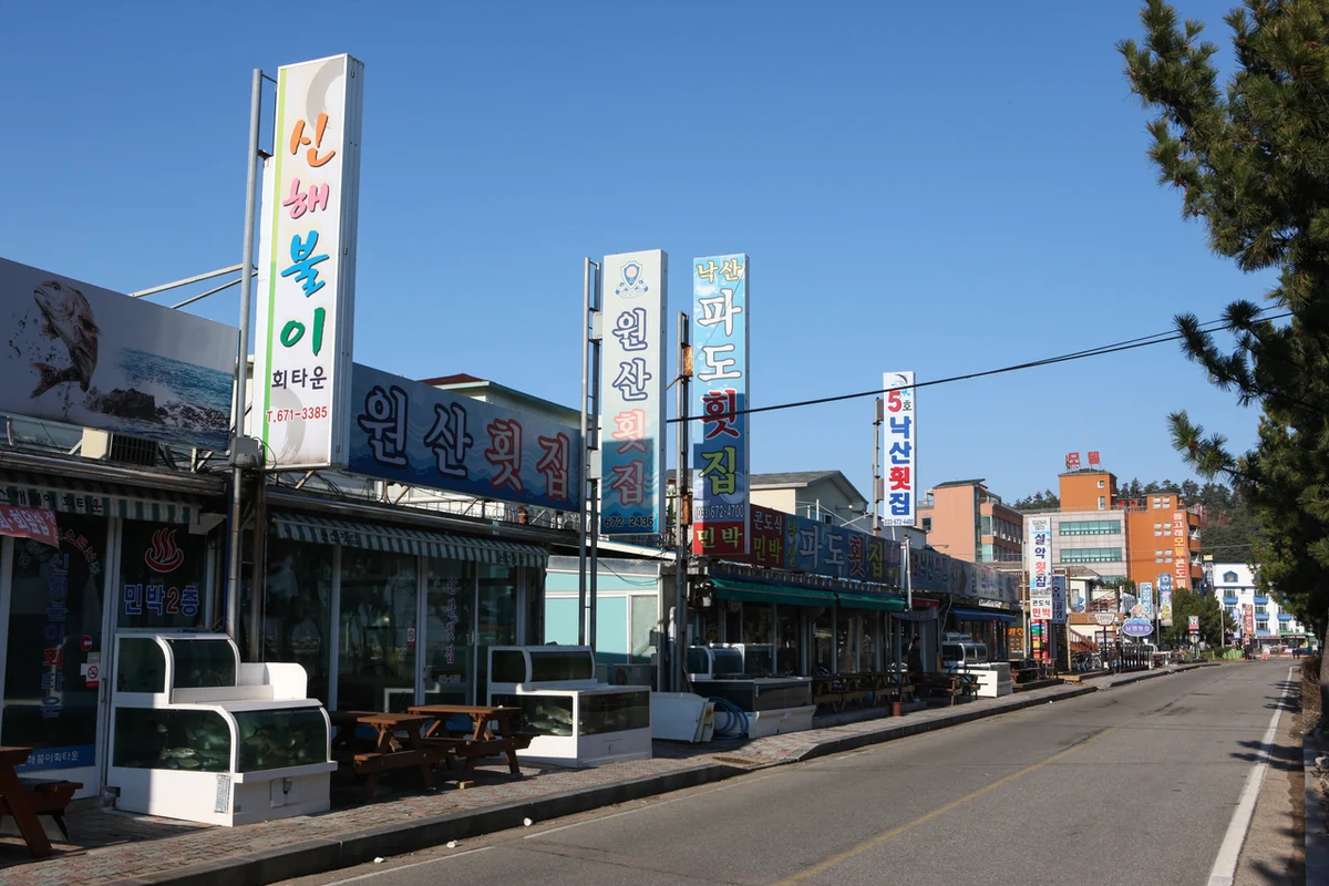 오륙도횟집 - 역삼 횟집 여행