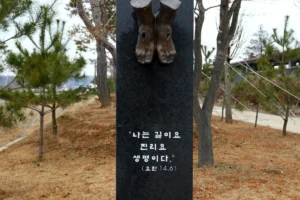 당진 수국 명소 (출처 : 한국관광공사)