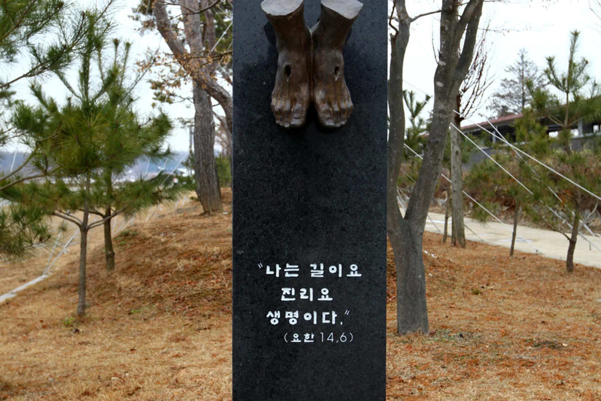 당진 수국 명소 (출처 : 한국관광공사)