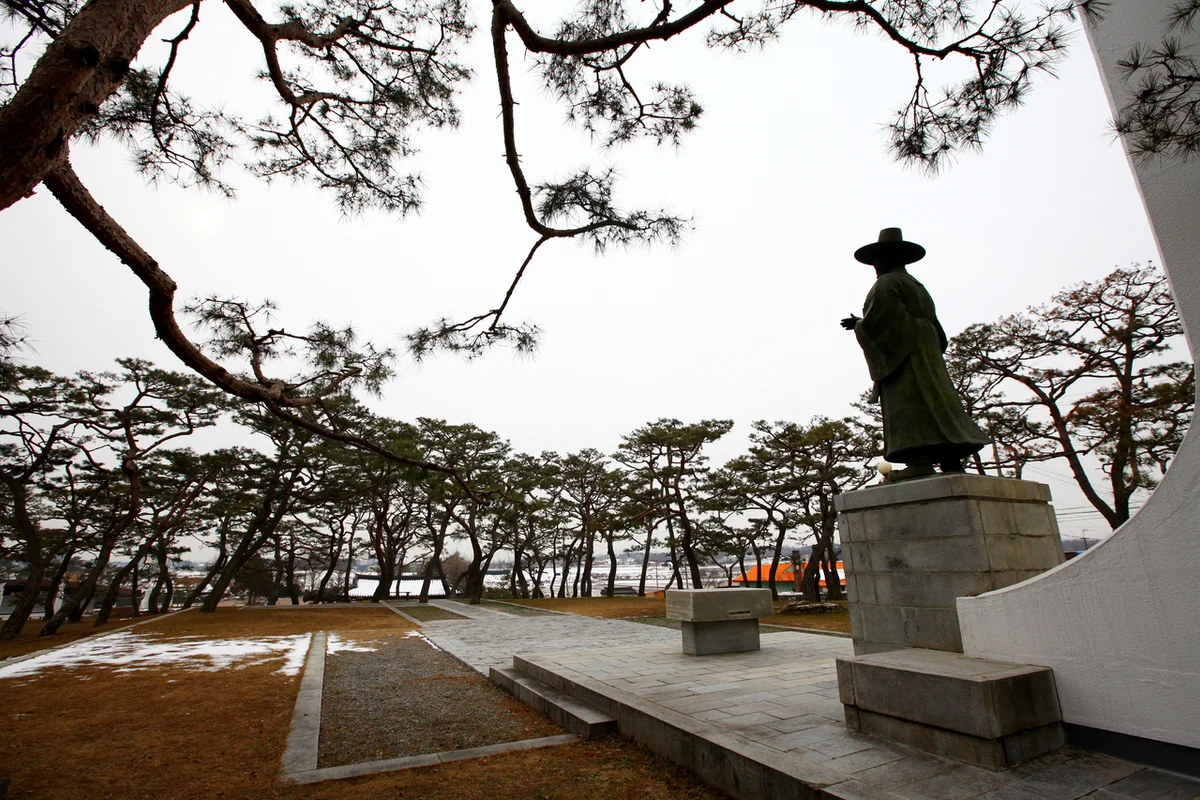 삼선산수목원, 당진 수국 명소의 시작 - 당진여행 여행