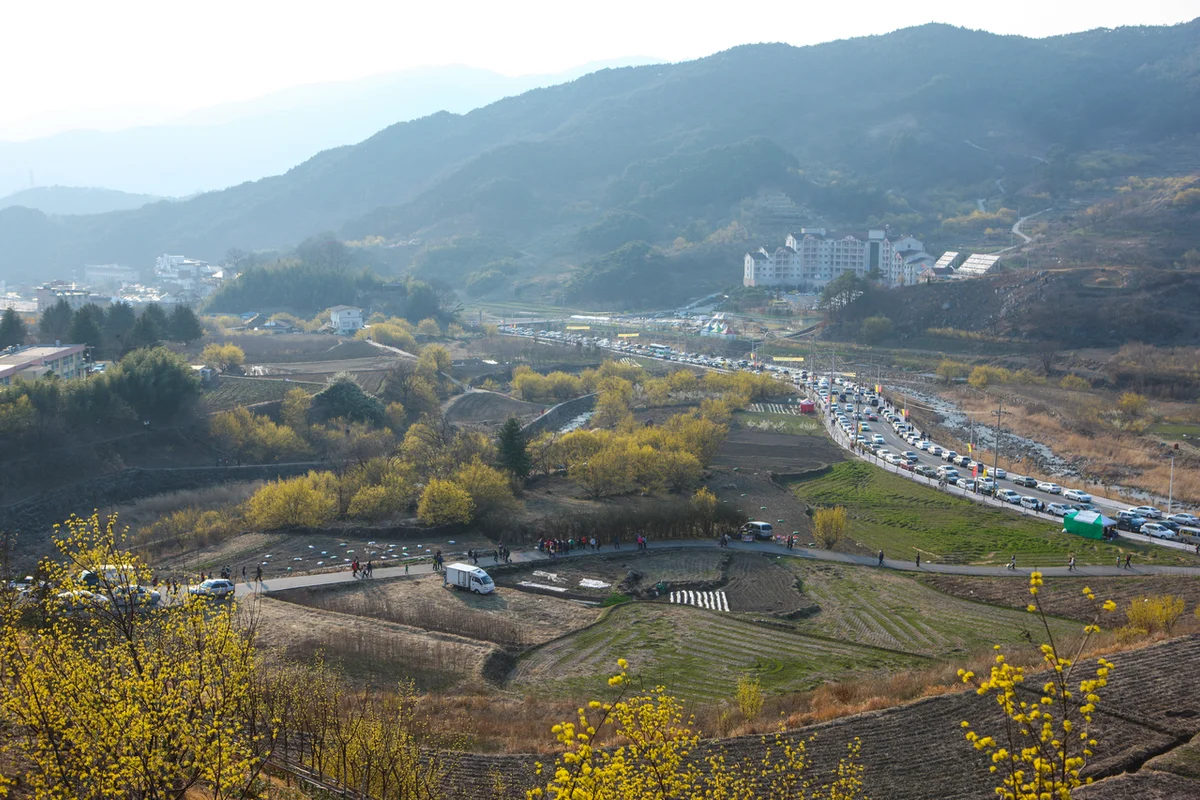 구례산수유마을 - 구례여행 여행