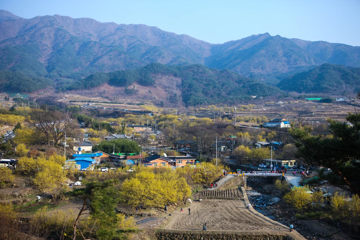 산수유사랑공원 - 구례여행 여행
