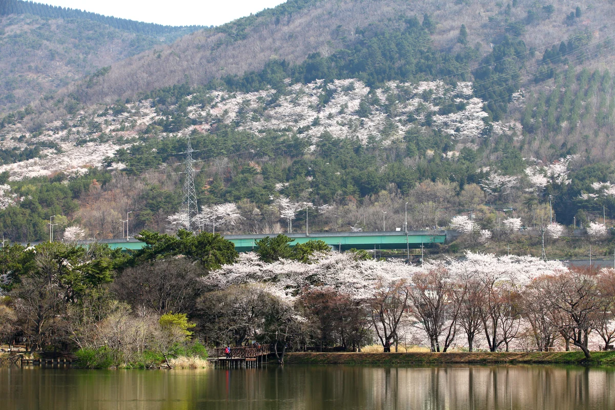그랜드골프클럽 - 창원시 골프장 여행