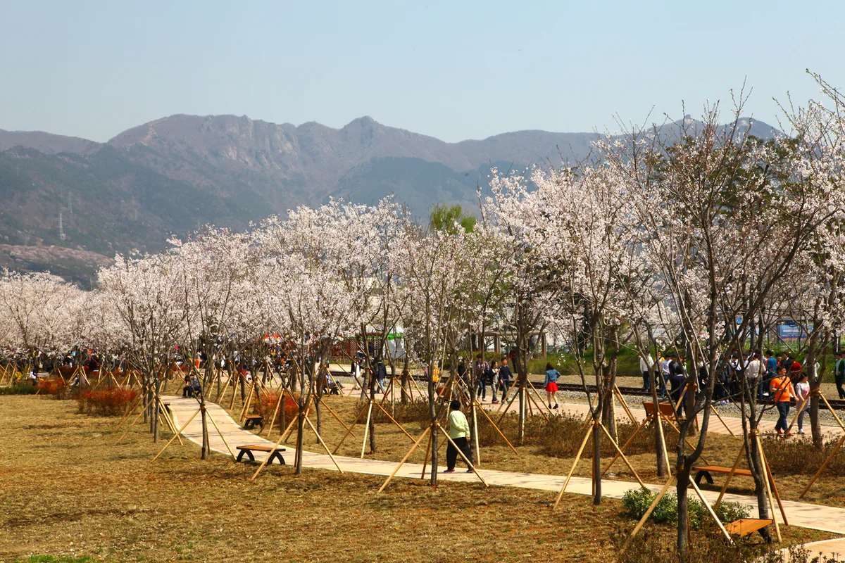 창원시 골프장 (출처 : 한국관광공사)