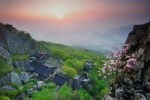 전남 테마파크 (출처 : 한국관광공사)