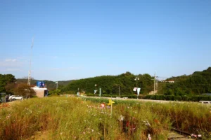 하동 역 (출처 : 한국관광공사)