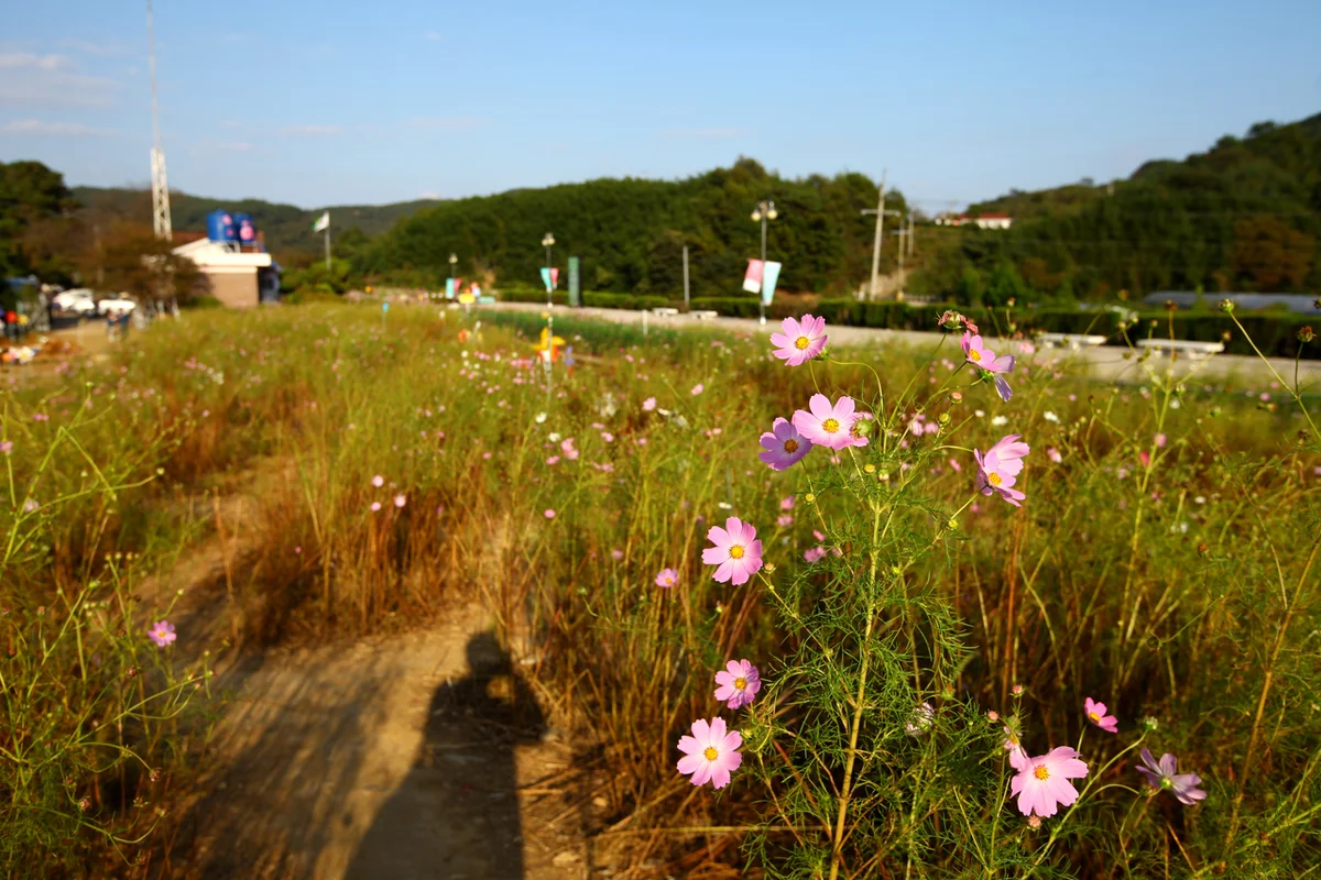 하동세계차엑스포제1행사장 - 하동 역 여행