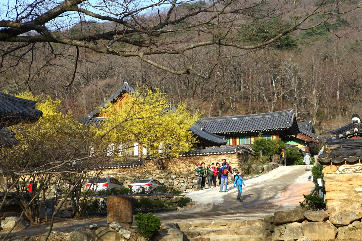 강북구 스마트팜 센터 - 수유 캠핑장 여행