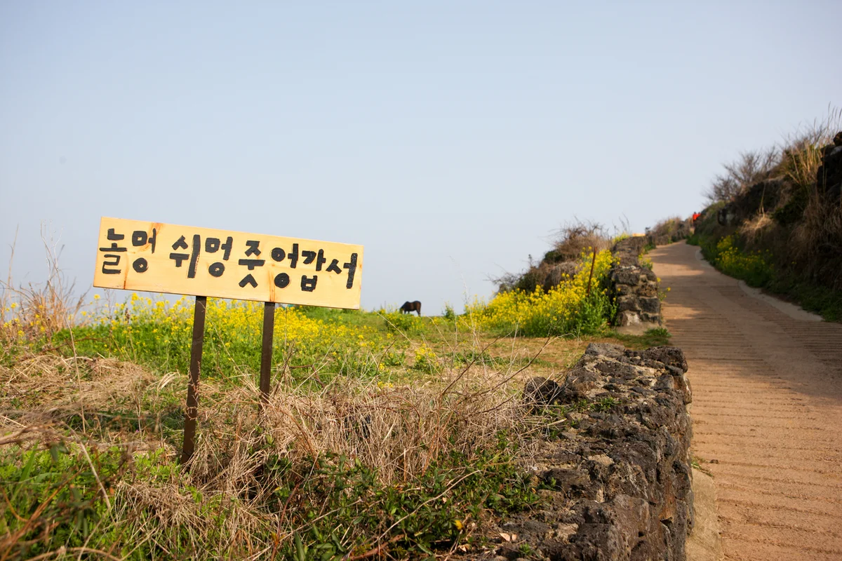 서우봉둘레길 - 제주도여행 여행