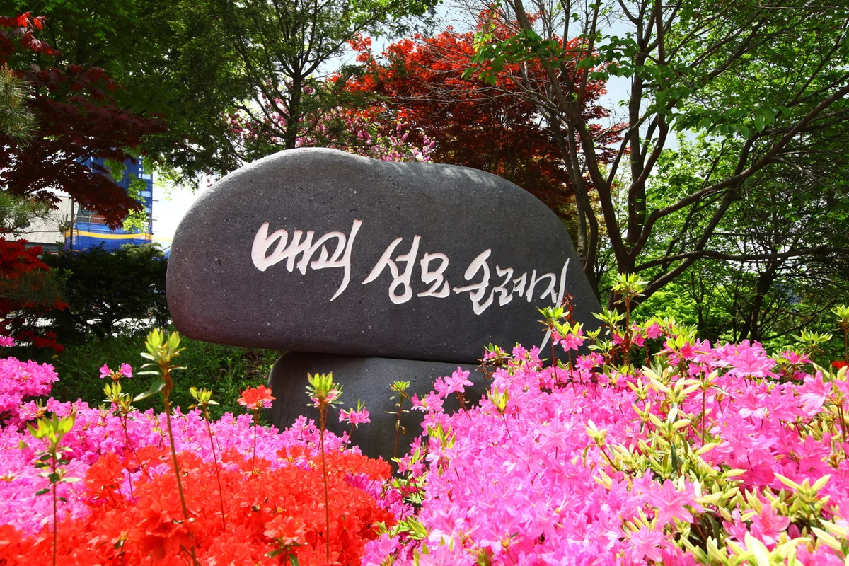 음성 혼자 여행 (출처 : 한국관광공사)
