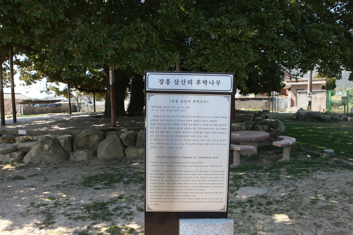 삼산 수상 레저 (출처 : 한국관광공사)
