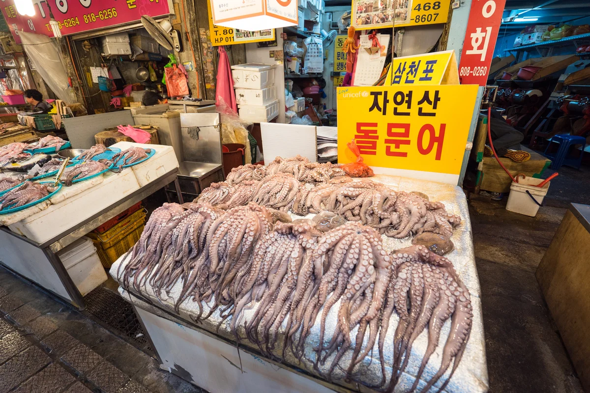 부전시장 데이트 (출처 : 한국관광공사)