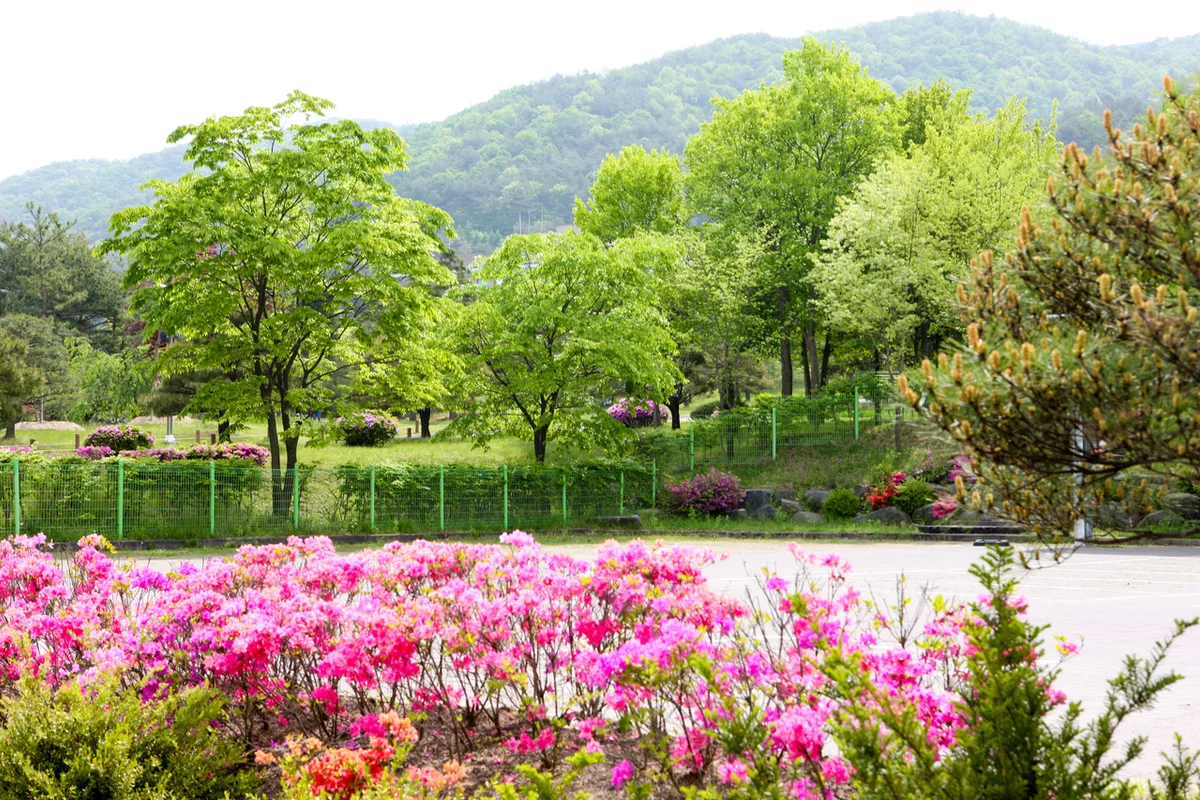 미동산수목원 - 제천시 여행