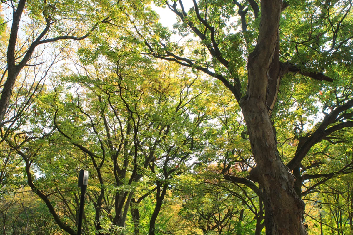 자산공원 - 여수밤바다 여행
