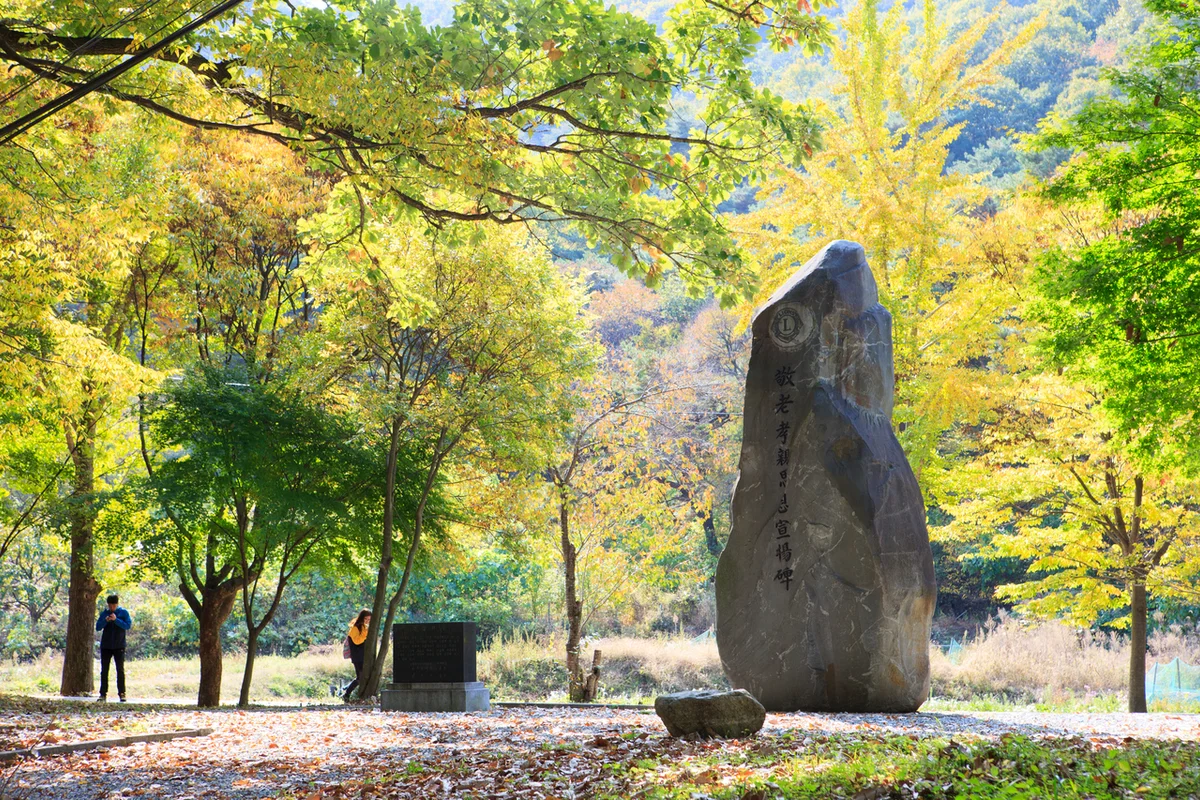 종고산 - 여수밤바다 여행